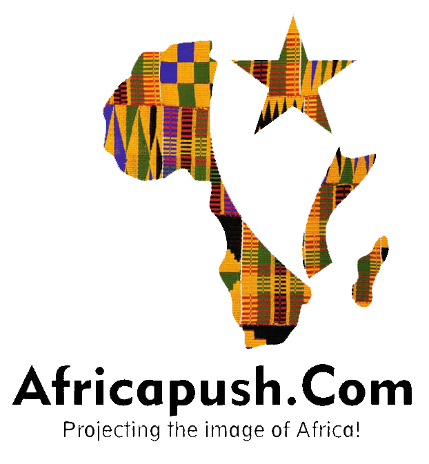 Afri Push logo