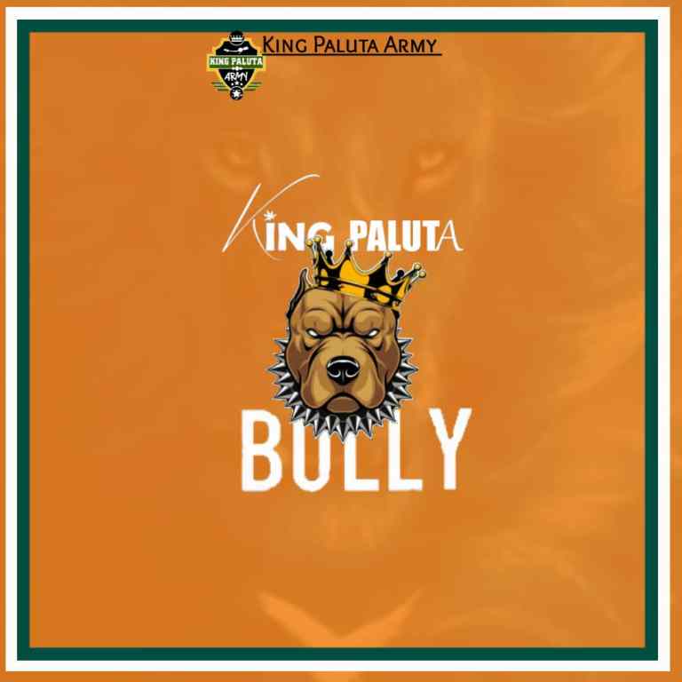 King Paluta – Bully (Mixed By King Paluta)