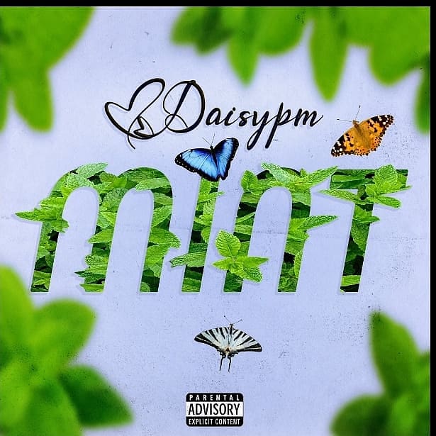 DaisyPm – Mint